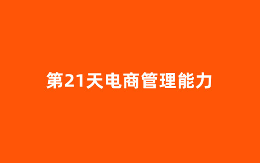 第21天电商管理能力