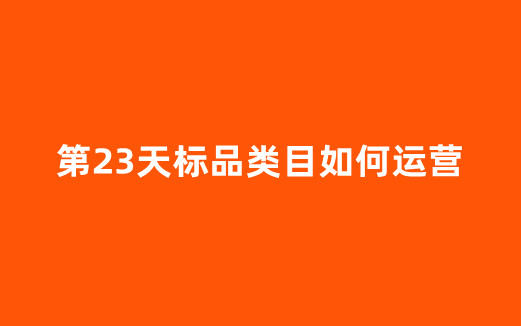 第23天标品类目如何运营
